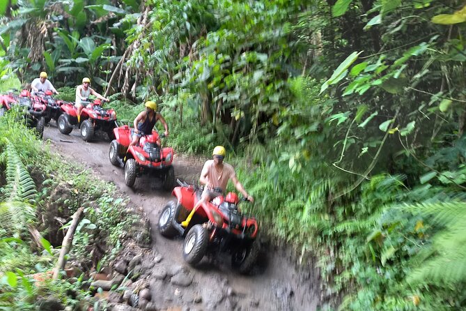 Bali Quad Bike Gorilla Cave & Ubud White Water Rafting With Lunch - Inclusions of the Tour