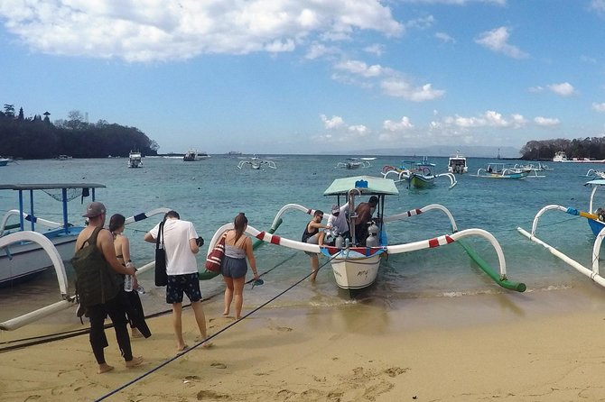 Bali Scuba Diving at Padang Bai for Certified Diver - Daily Schedule and Activities