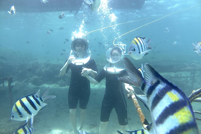 Bali Seawalker - What to Expect Underwater