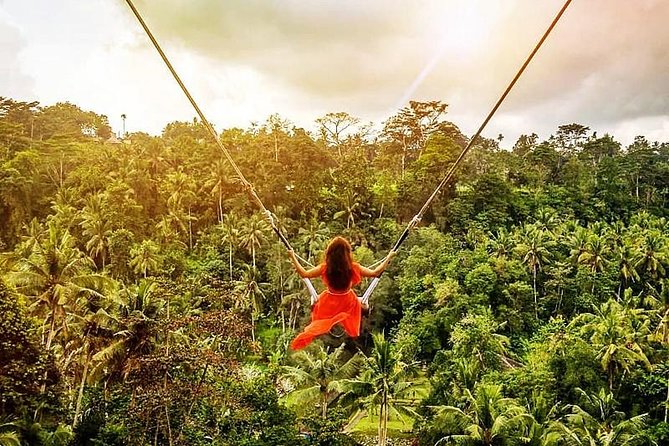 Bali Swing Experience and Ubud Tour - Included Features