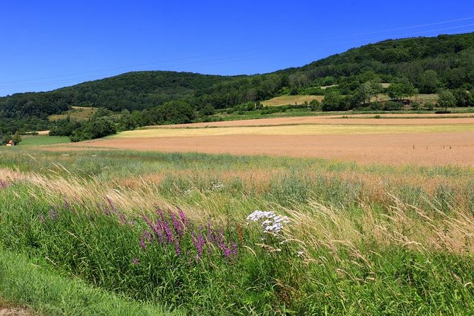 Bamberg Countryside Breweries Beer Hike Food Experience - Scenic Hike Route
