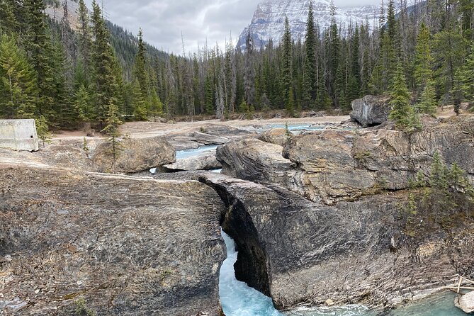 Banff & Yoho Parks | Lake Louise | Moraine Lake | Emerald Lake - PRIVATE TOUR - Customized Tour Experience