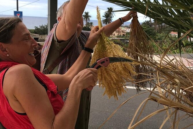 Basket Weaving From Palm Brooms in La Gomera - Taking in La Gomeras Artisanal Culture