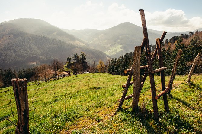 Basque Farm House & Cider House Tour + Meal From San Sebastian - Accessibility