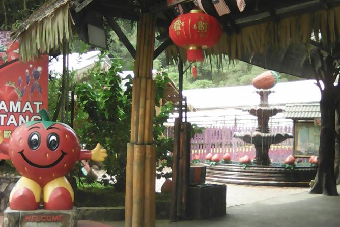 Batu Caves and Genting Highland Tour - Batu Caves Exploration