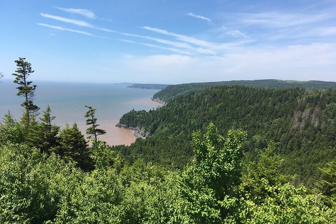 Bay of Fundy Tour in Luxury Car - Meeting and Pickup Details
