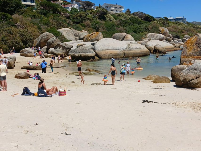 Beach Day at Boulders Beach & Penguin Watching, Half Day - Itinerary and Stops