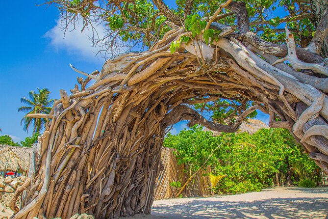 Beach Front Disconnection (Yoga, Meditation & Massage Included.) - Inclusions
