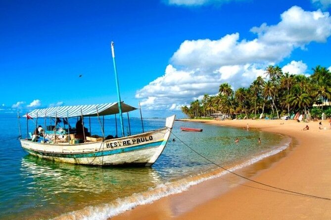 Beach Getaway - Praia Do Forte and Guarajuba - Itinerary Highlights