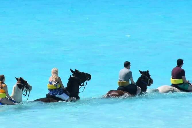 Beach Horse Riding From Sharm El Sheikh - Customer Feedback