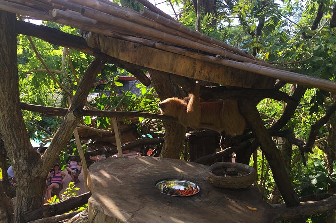 Beach-mountain & Sloth Refuge Atv Tour - Booking and Availability