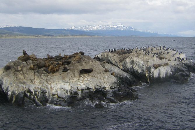 Beagle Channel and Seal Island Catamaran Tour From Ushuaia - Wildlife and Scenery