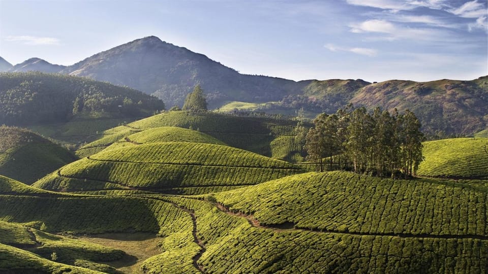 Beauty of Nature, Munnar Hill Station Tour (03 Days) - Location and Attractions