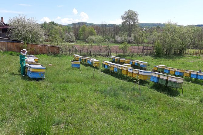 Beekeeping Day Trip| Private Guided Tour From Bucharest - Pickup Information