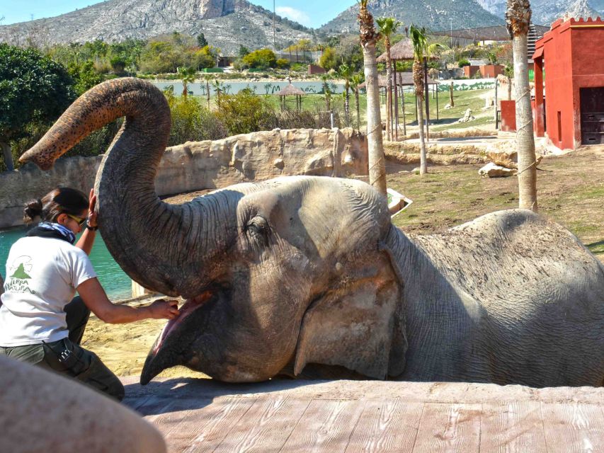 Benidorm: Terra Natura Theme Park 1-Day Tickets - Park Overview and Highlights