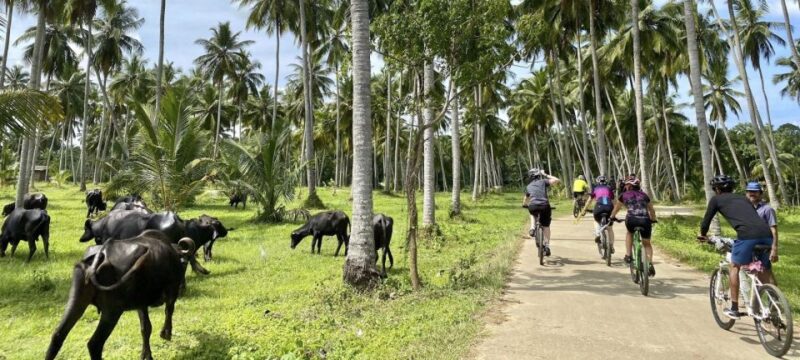 Bentota: Guided Cycling Tour With Refreshments - Tour Highlights