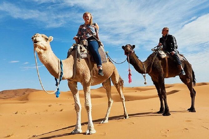 Best 9 Days Tour From Casablanca via Desert & Marrakech - Pickup and Meeting Information