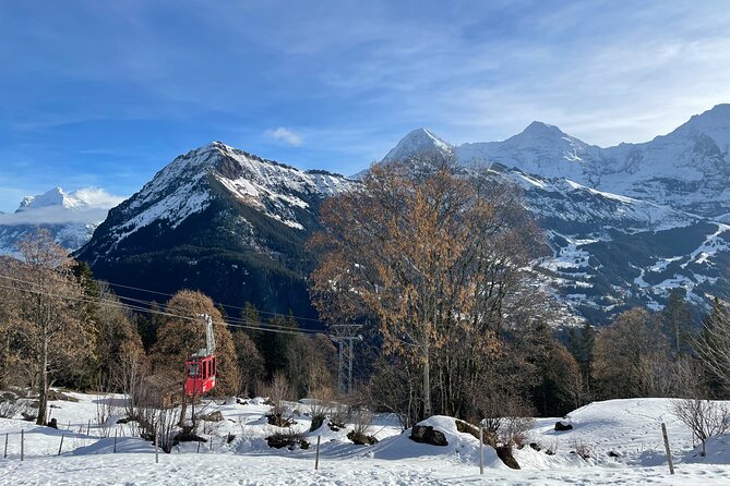 Best of Bernese Oberland & Swiss Countryside (Private Tour) - Inclusions and Amenities