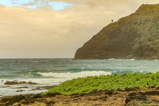 Best of Oahu: Pearl Harbor & Oahu Circle Island Tour From Waikiki - Guest Experiences and Feedback