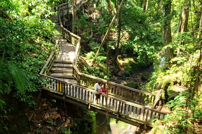 Best of Ubud - Kintamani Volcano View - Private Tour - Ubud Monkey Forest Experience