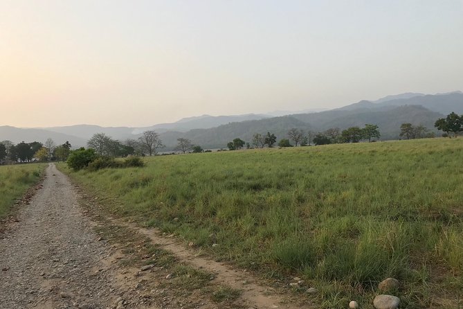Best Wilderness Experience Through Jim Corbett Experience - Wildlife Sightings and Interaction