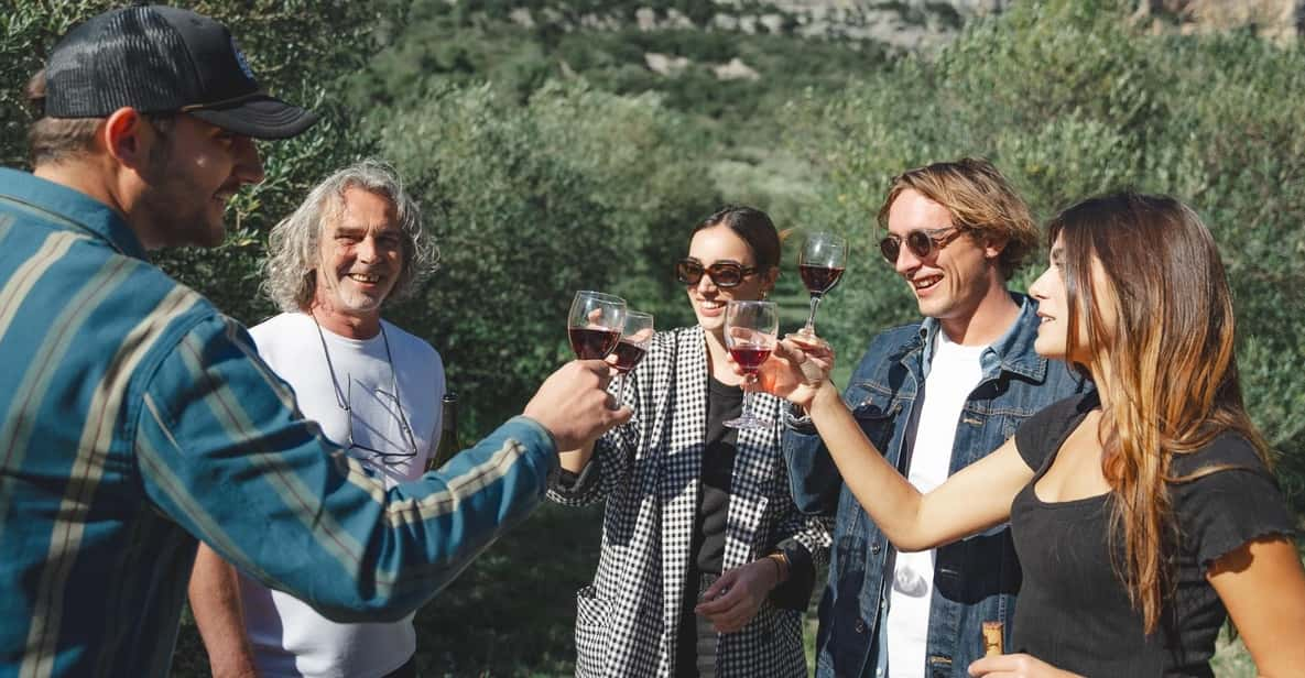 Béziers: Wine Tours & Wine Tasting - Tour Pricing