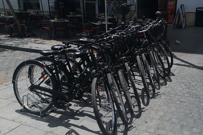 Bike Rental Day - Pricing and Inclusions