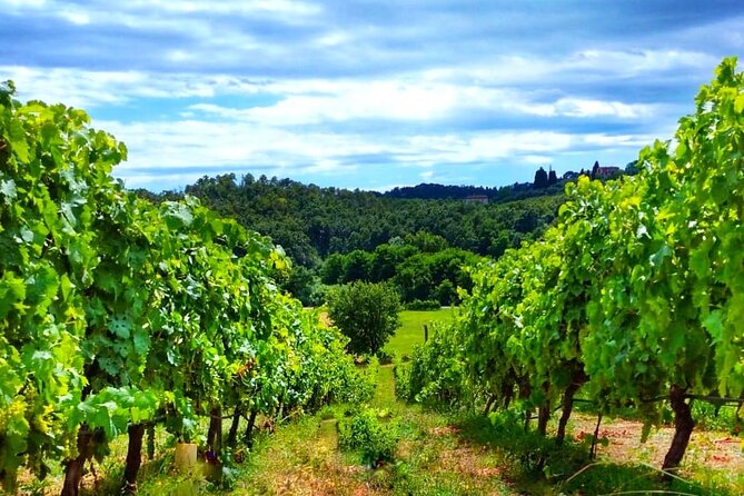 Bike Ride & WIne Tasting - Cycling Through Historic Villages