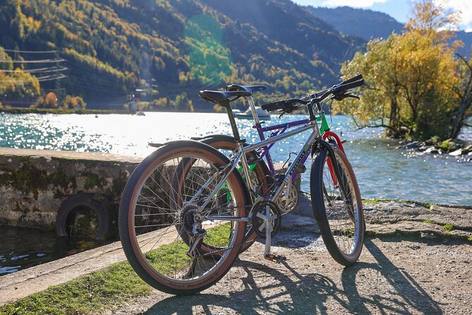 Bike Tour of the Interlaken Valley: Rivers, Lakes & Forests - What to Expect
