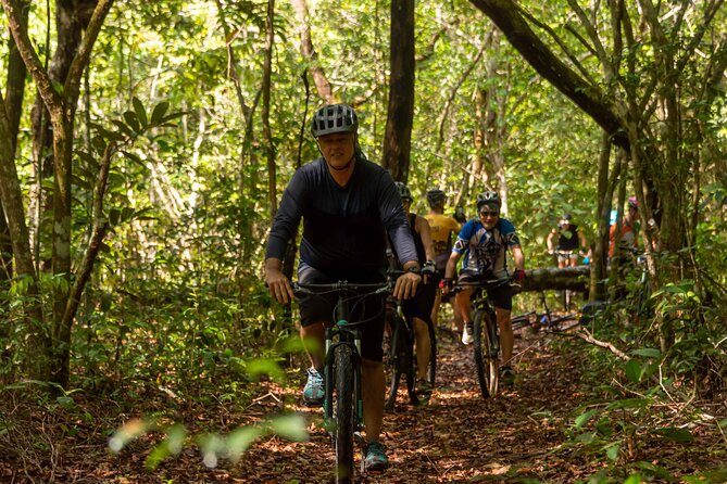 Bike Trip From Alter Do Chão to Ponta De Pedras Beach - Amazonian Wildlife and Scenery