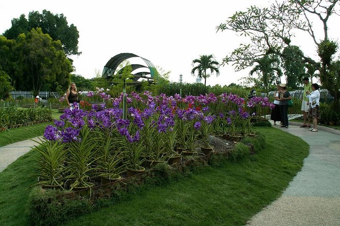 Bird Park & Butterfly Farm Nature Include All Entrance Tour From Kuala Lumpur - Butterfly Park Experience