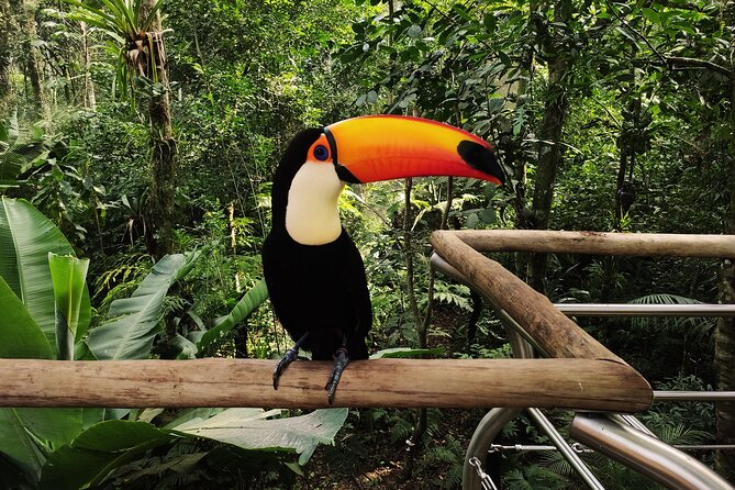 Bird Park General Admission Ticket and Tour - Transportation and Pickup Information