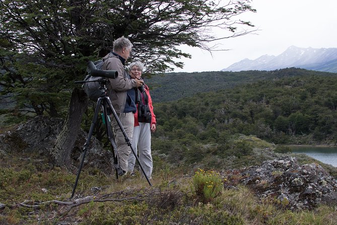 Birding in Tierra Del Fuego National Park - Tour Inclusions