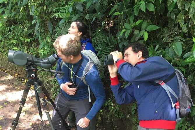 Birdwatching Half-Day Tour Between Clouds and Forest in Monteverde - Birdwatching in Monteverde