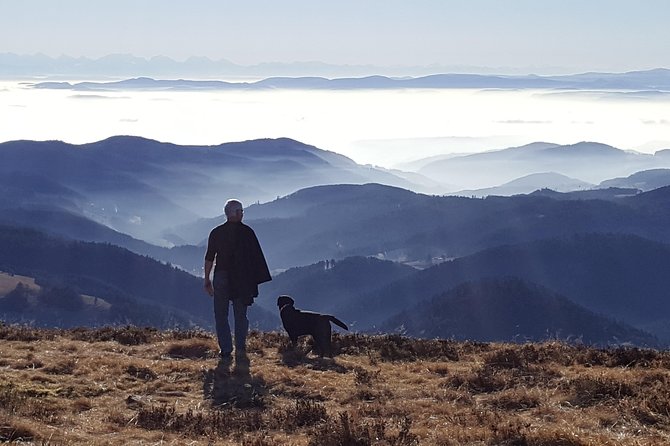 Black Forest Tour by Car - Quick Tour From Freiburg - Meeting and Pickup