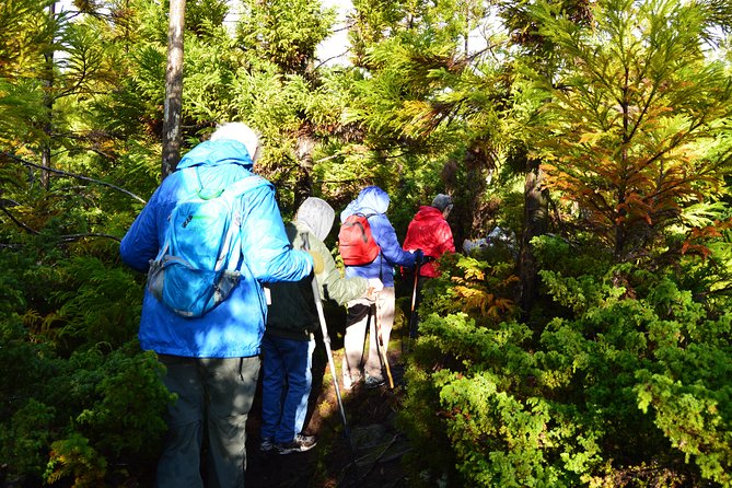 Black Mysteries Hiking Trail - Terceira Azores - Whats Included in the Tour