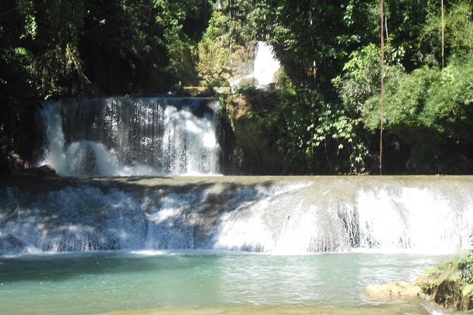 Black River Safari, YS Falls and Appleton Rum Tour With Lunch - Reviews and Ratings