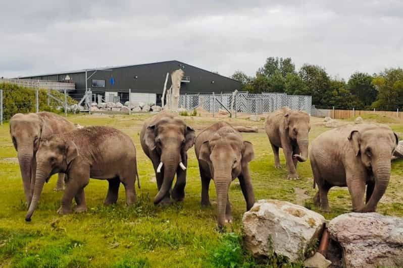 Blackpool: Zoo Admission Ticket - Diverse Animal Habitats