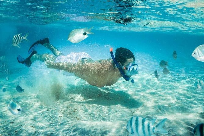Blow Lagoon Bali Snorkeling and See Bali Bats Cave Temple - Marine Life Encounters