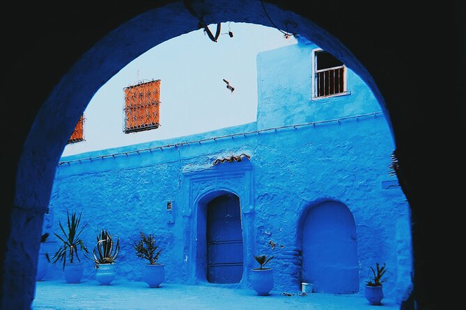 Blue Bliss & Waterfall Wonders: Chefchaouen & Akchour Day Escape - Seamless Transportation and Accessibility