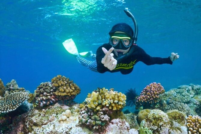 Blue Lagoon & Tanjung Jepun Snorkeling Private Tour - Inclusions and What to Expect