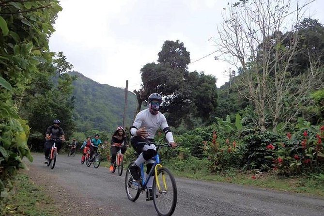 Blue Mountain Bicycle Tour From Ocho Rios - Included Amenities