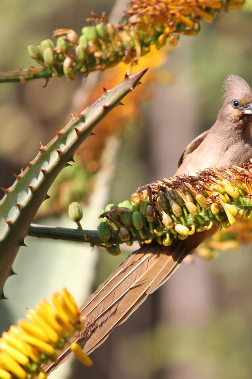 Blyde River Canyon Trip - Significance of Blyde River Canyon