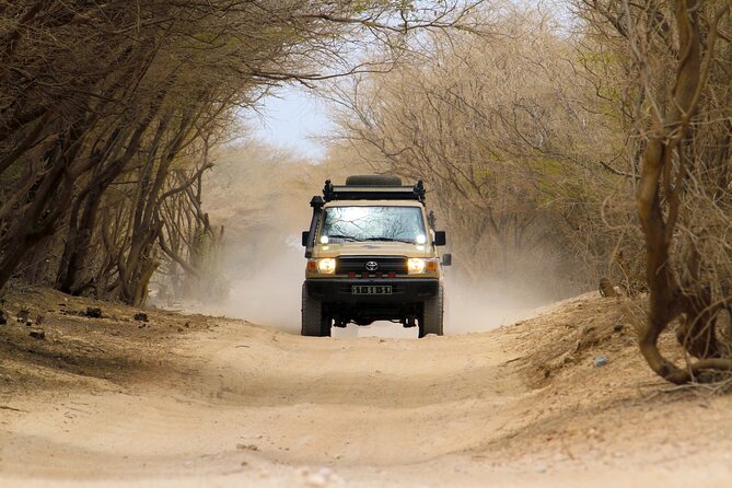Boa Vista: 4h North Jeep Expedition Off-Road - Location and Recommendations