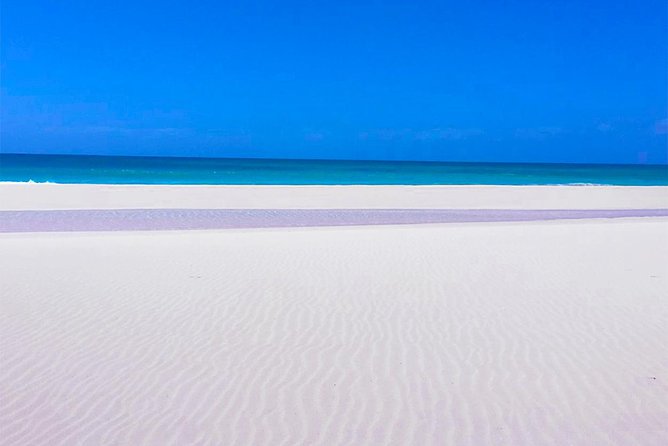 Boa Vista Tour: Santa Monica, Shark, Turtle, Desert & Shipwreck - Transportation and Pickup Details