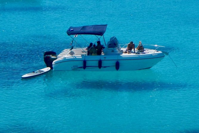 Boat Dolphins Safari and Snorkeling - Included in the Package