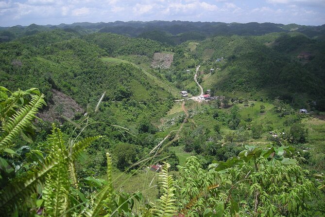 Bob Marley Birthplace, Nine Miles Tour From Ocho Rios - Health and Accessibility