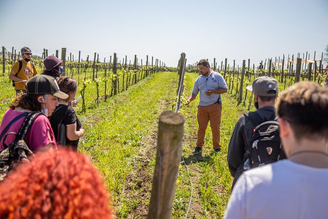 Bodega Gamboa Premium Wine Tasting With Lunch - Group Size and Accessibility