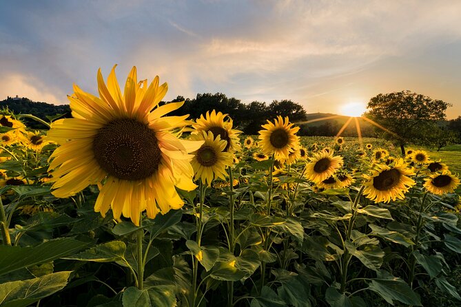 Bologna Surroundings Photo Tour: Rolling Hills and Badlands - Start Time and Duration