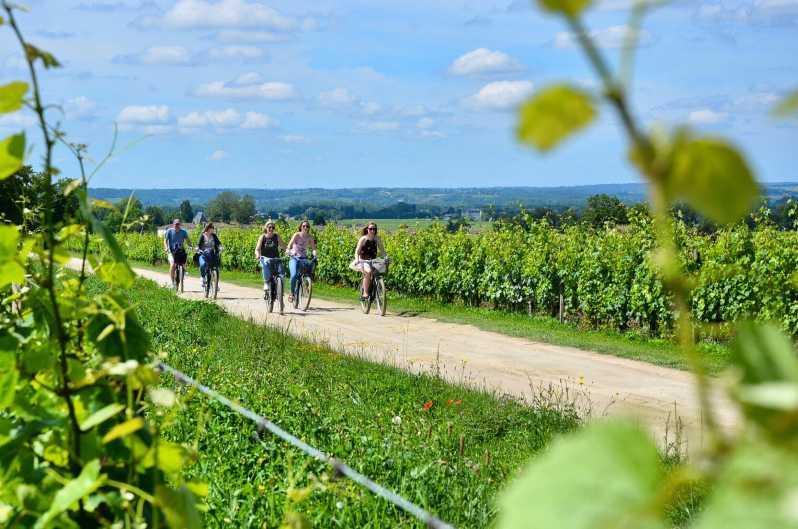Bordeaux Backcountry E-Bike Tour With Lunch & Wine Tasting - Experience Highlights